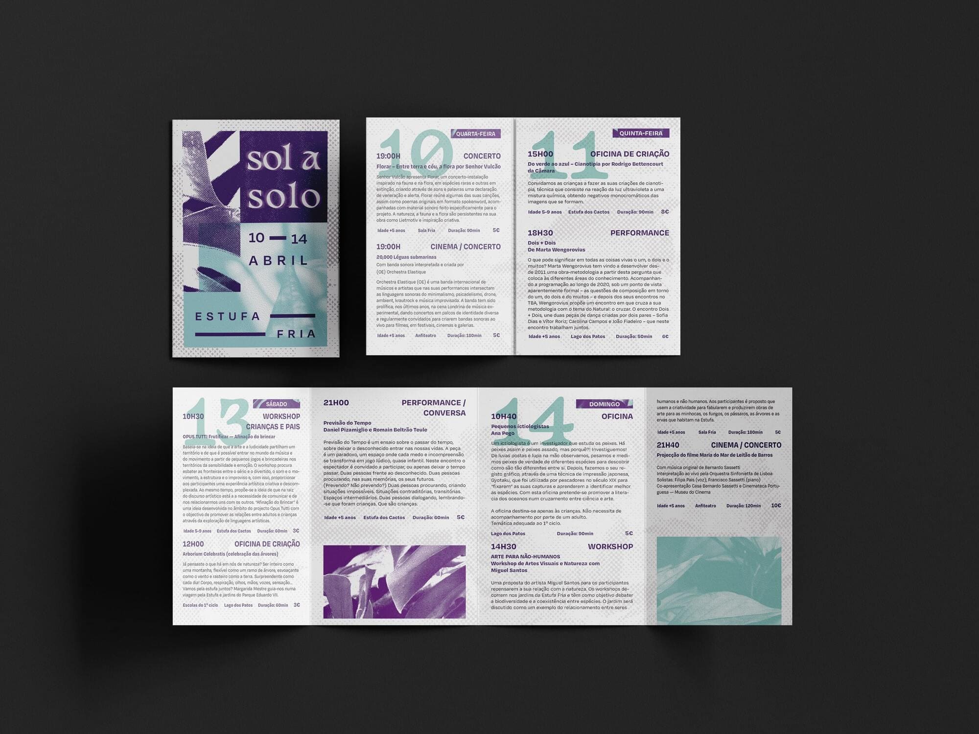 sol a solo foldable flyer